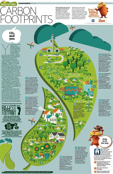 Carbon footprints | Carbon footprint, What is a conservatory, Carbon ...