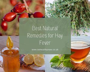 Best natural remedies for hay fever - Be Healthy Now