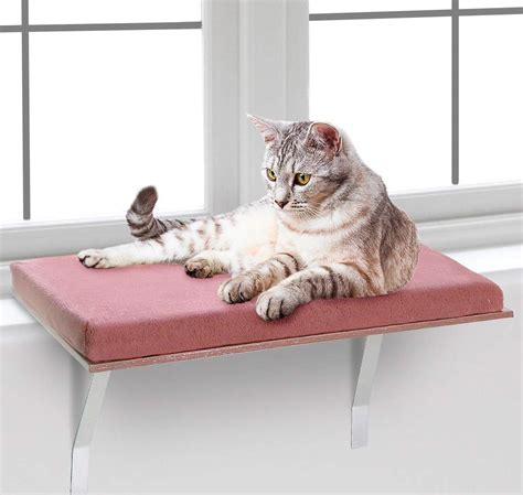 Bundaloo Cat Window Perch | Easy Set-up DIY Kitty Sill | Mounted Shelf ...