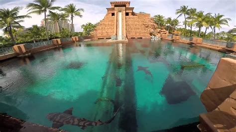 Atlantis Bahamas Water Park January 2015 - YouTube