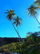 Category:Beaches of Barbados - Wikimedia Commons