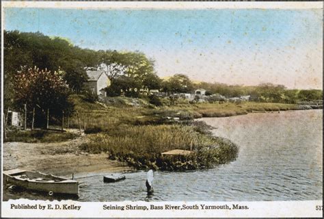 Seining shrimp, Bass River, South Yarmouth, Mass. - Digital Commonwealth