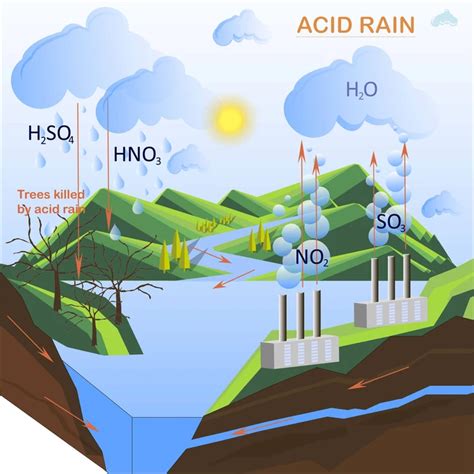 Acid Rain: It's Causes, Effects and How to Prevent It