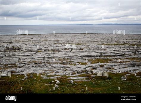 limestone pavement next to the coast of galway bay the burren county ...