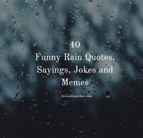 40 Funny Rain Quotes, Sayings, Jokes and Memes | Funny rain quotes, Rain quotes, Happy rain quotes