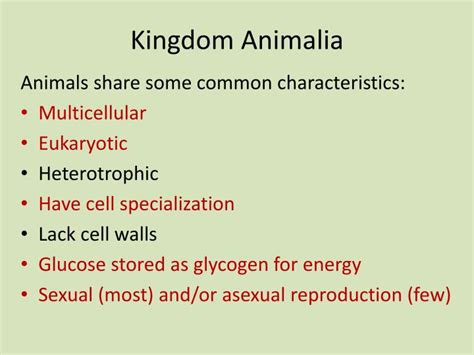 Kingdom Animalia Characteristics