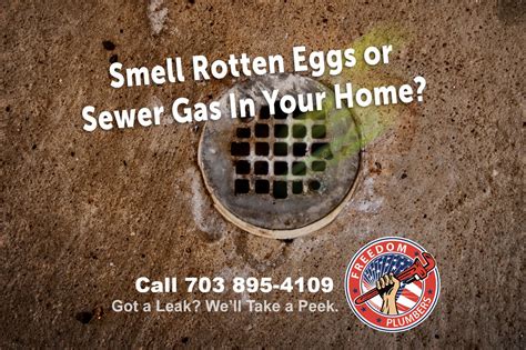 What You Need To Know If You Smell Sewer Gas In Your Home. - Freedom ...