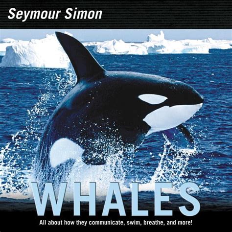 Whales (Paperback) - Walmart.com