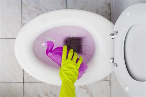 How To Clean A Toilet Properly? – Pick A Bathroom