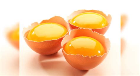 How to tell a healthy chicken's egg yolk – Food & Recipes