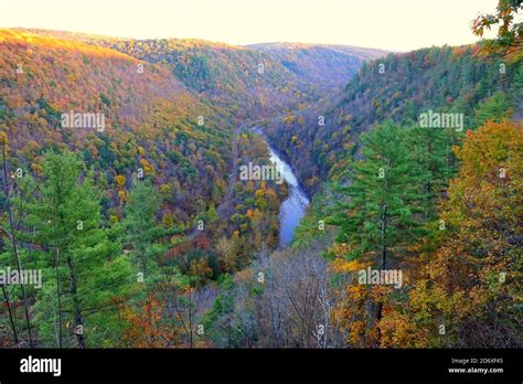 The aerial view of the striking colors of fall foliage and the river ...