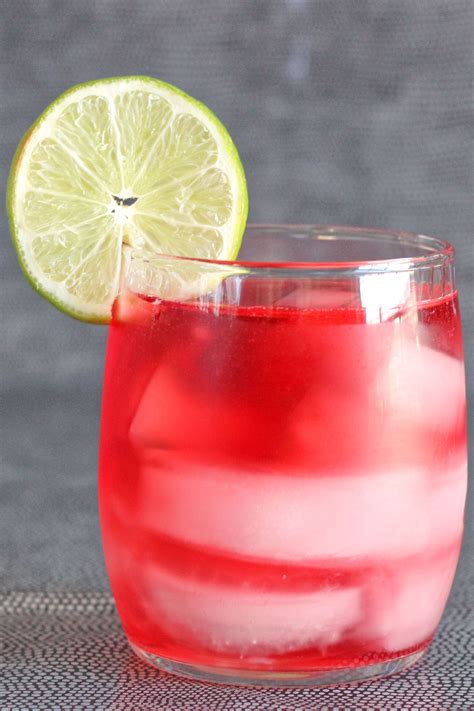 Vodka Cranberry Drink Recipe | Mix That Drink | Drank, Cocktails