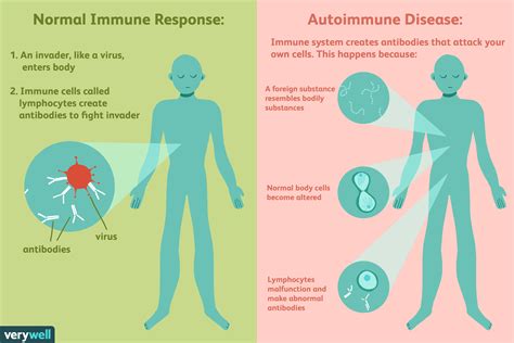 Autoimmune Disease: Types, Symptoms, and More