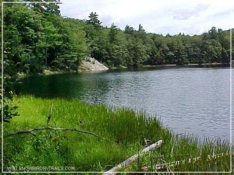 Peaceful and secluded Buck Mountain Pond located in the Adirondack Mountains. | Summer vacation ...