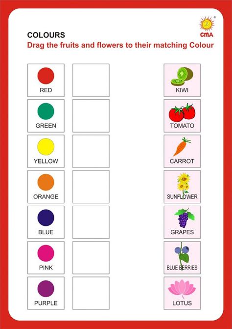 Match the Colours - Interactive worksheet | Color worksheets for preschool, Color worksheets ...