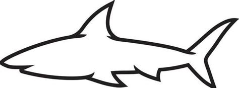 Share more than 82 shark fish sketch - in.eteachers