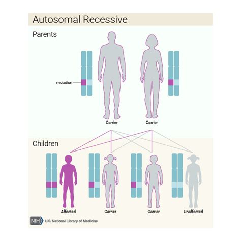 Aarskog-Scott syndrome: MedlinePlus Genetics