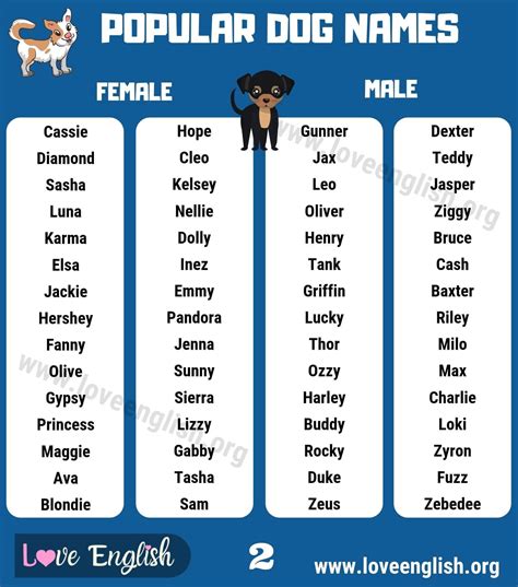 the popular dog names in english with pictures and words to describe them on this poster