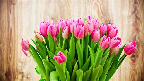 Beautiful pink tulip flowers bouquet wallpaper | flowers | Wallpaper Better