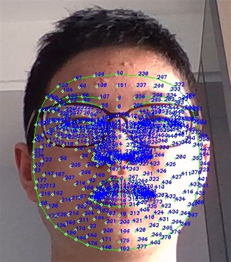 The face mesh landmarks. | Download Scientific Diagram