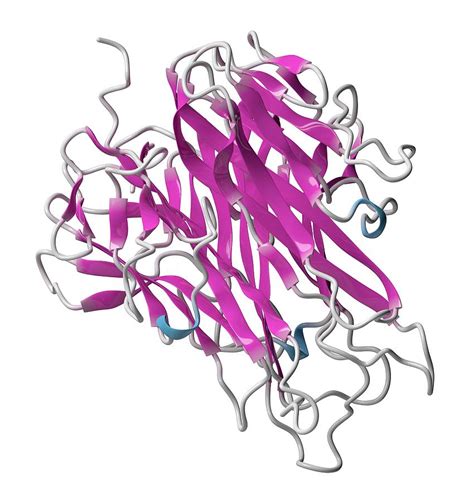 Tnf Alpha Molecule Photograph by Molekuul/science Photo Library | Pixels