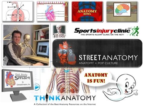 ZaidLearn: A Sizzling Collection of Anatomy Games & Resources!