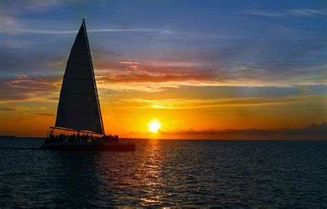 Best Sunset Cruise Cabo San Lucas – Sunset Cruise Reviews | Come to Cabo Villa Rentals