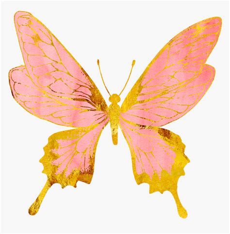 Rose Gold Butterfly Transparent, HD Png Download , Transparent Png ...