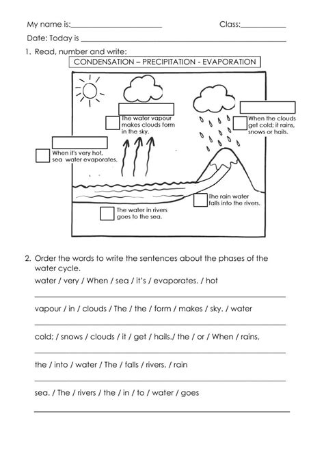 worksheet for the water cycle with answers and examples to help ...