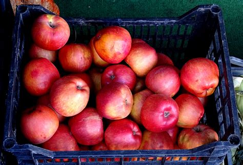 Basket Of Red Apples Free Stock Photo - Public Domain Pictures