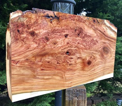 Cherry Burl | Beautiful wood, Burled wood, Wood slab