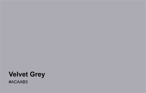 Velvet Grey / #ACAAB3 HEX Color