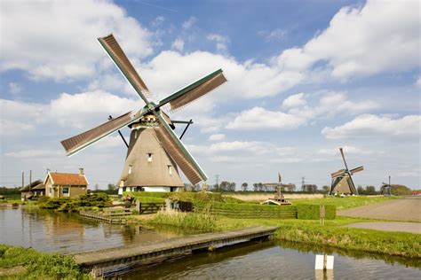 Windmills - Tulip Festival Amsterdam