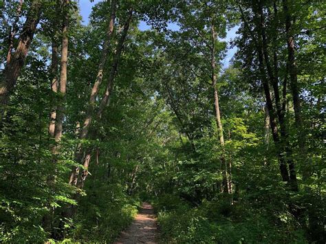 All aboard the Moosup Valley State Park Trail, a challenging hike with railroad history