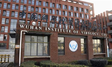 China's Wuhan Institute of Virology Listed As Candidate For Outstanding Science And Technology ...