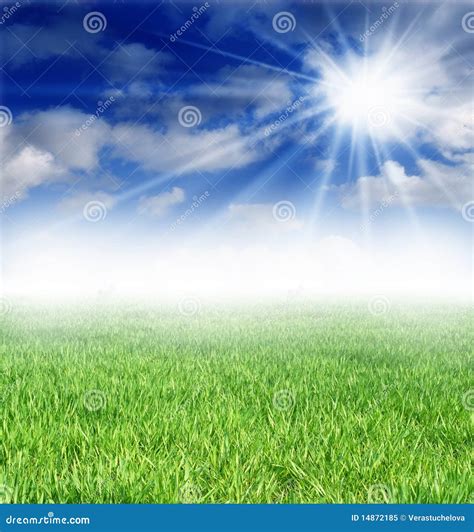 Sunny Day Background Royalty Free Stock Photo - Image: 14872185