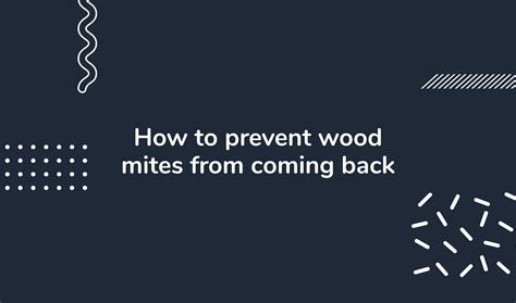 Getting rid of wood mites: top strategies for a mite-free home | HeyHome