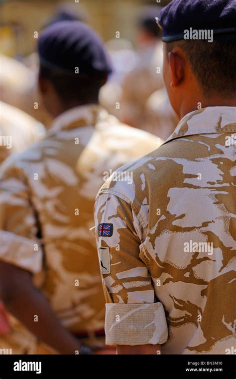 Insignia - The Royal Logistic Corps on parade Stock Photo - Alamy