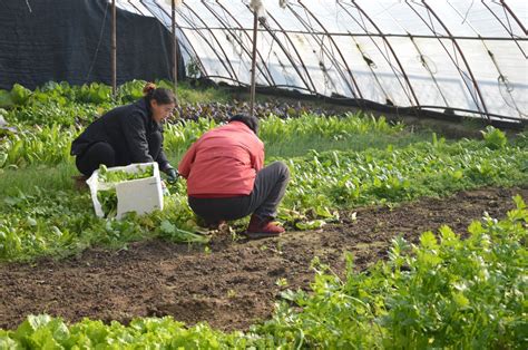 Organic Farming Methods