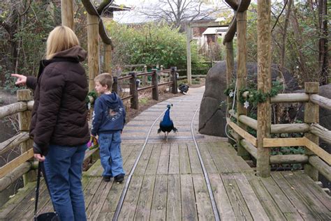 Chattanooga Zoo - Review, Details, and Pictures