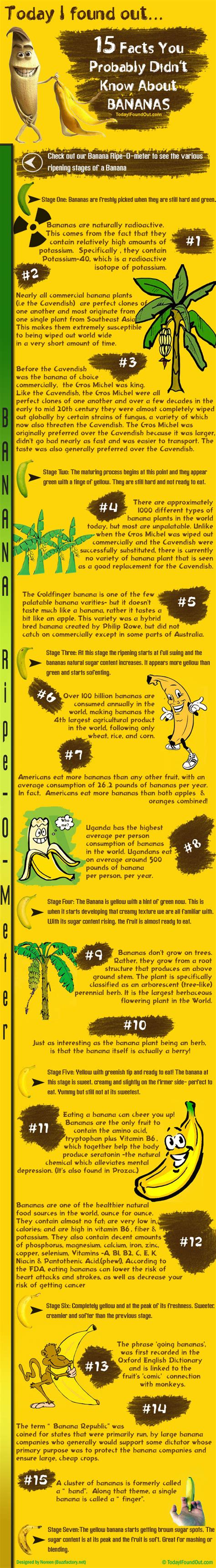 15 Facts You Probably Didn’t Know About Bananas