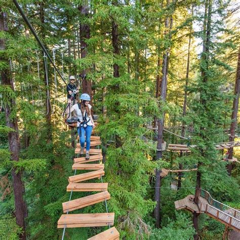 Take A Walk Above The Trees At Mount Hermon In Northern California ...