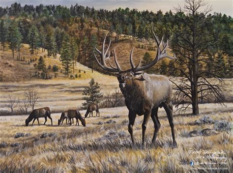 Elk Print Imperial Majesty Elk Art Elk Painting Elk Hunting Imperial ...