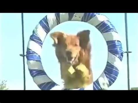 Pet Squad Theme Song 1998 - YouTube