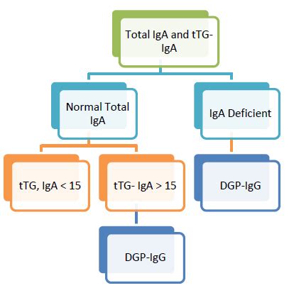 Tissue Transglutaminase Antibody IgA - Seattle Children's Hospital