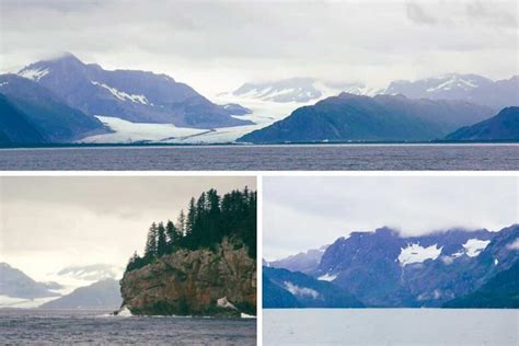 Ultimate Guide to Planning a Resurrection Bay Cruise - Seward, Alaska