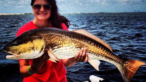 Pensacola Beach Charter Fishing - Fish Choices