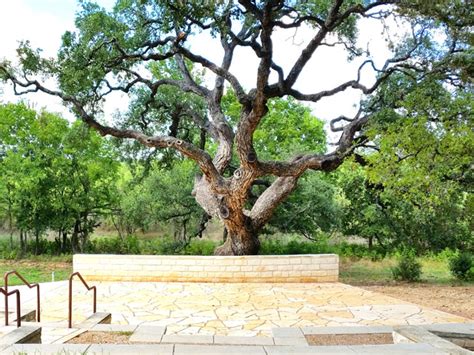 Attractions in Buda | Tour Texas