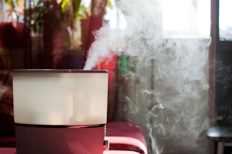 Cool Mist vs Warm Mist Humidifier – Pulptastic