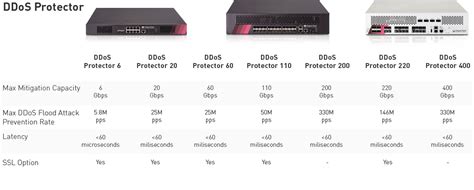 DDos Protection - Check Point Software